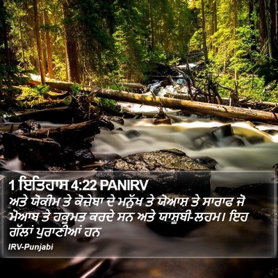 1 ਇਤਿਹਾਸ 4:22 PANIRV Bible Verse Image