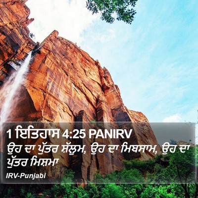 1 ਇਤਿਹਾਸ 4:25 PANIRV Bible Verse Image