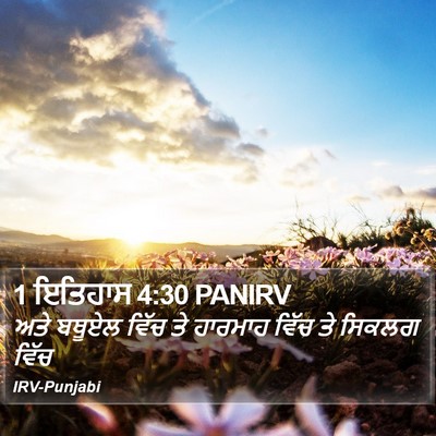 1 ਇਤਿਹਾਸ 4:30 PANIRV Bible Verse Image