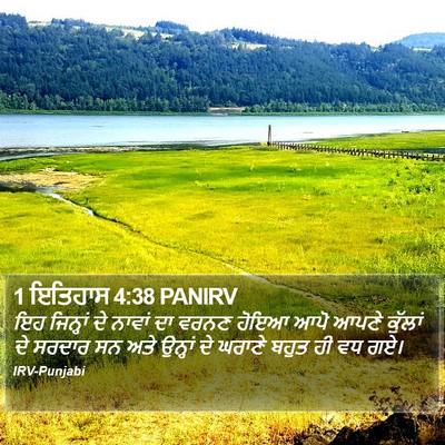 1 ਇਤਿਹਾਸ 4:38 PANIRV Bible Verse Image