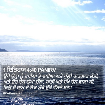 1 ਇਤਿਹਾਸ 4:40 PANIRV Bible Verse Image