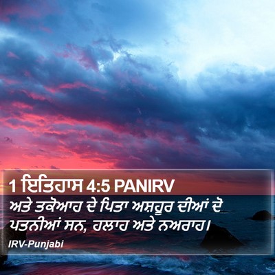 1 ਇਤਿਹਾਸ 4:5 PANIRV Bible Verse Image