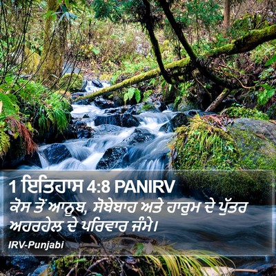 1 ਇਤਿਹਾਸ 4:8 PANIRV Bible Verse Image