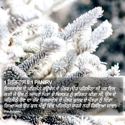 1 ਇਤਿਹਾਸ 5:1 PANIRV Bible Verse Image