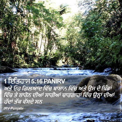 1 ਇਤਿਹਾਸ 5:16 PANIRV Bible Verse Image