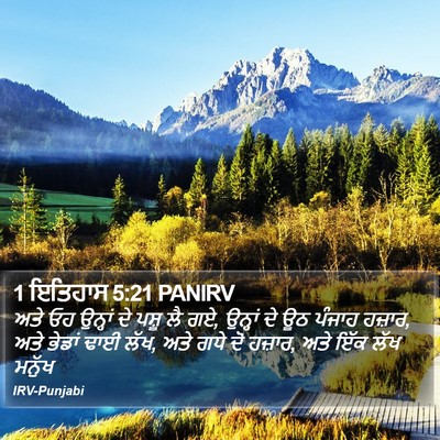 1 ਇਤਿਹਾਸ 5:21 PANIRV Bible Verse Image