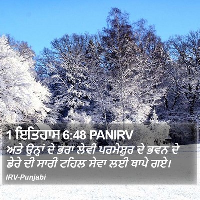 1 ਇਤਿਹਾਸ 6:48 PANIRV Bible Verse Image