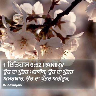 1 ਇਤਿਹਾਸ 6:52 PANIRV Bible Verse Image