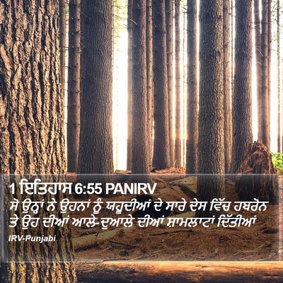 1 ਇਤਿਹਾਸ 6:55 PANIRV Bible Verse Image