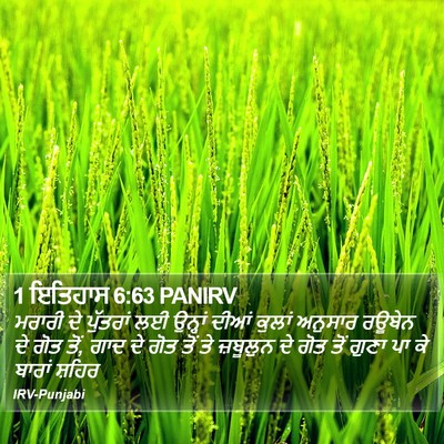 1 ਇਤਿਹਾਸ 6:63 PANIRV Bible Verse Image