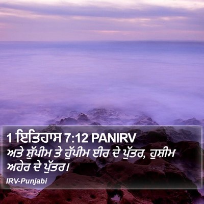 1 ਇਤਿਹਾਸ 7:12 PANIRV Bible Verse Image