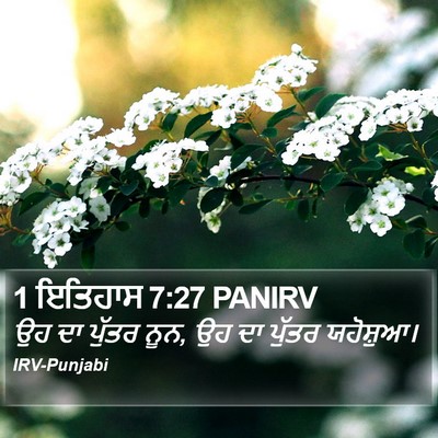 1 ਇਤਿਹਾਸ 7:27 PANIRV Bible Verse Image
