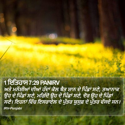 1 ਇਤਿਹਾਸ 7:29 PANIRV Bible Verse Image