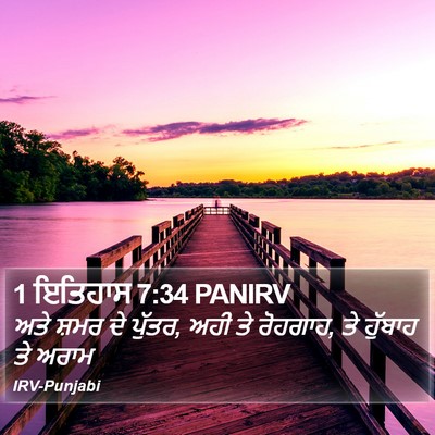 1 ਇਤਿਹਾਸ 7:34 PANIRV Bible Verse Image