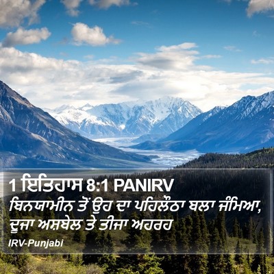 1 ਇਤਿਹਾਸ 8:1 PANIRV Bible Verse Image