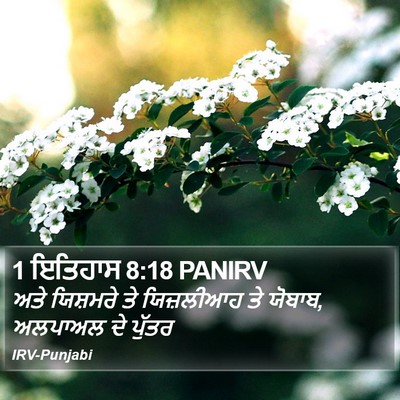 1 ਇਤਿਹਾਸ 8:18 PANIRV Bible Verse Image