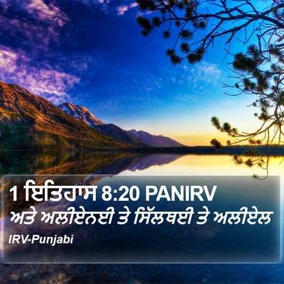 1 ਇਤਿਹਾਸ 8:20 PANIRV Bible Verse Image