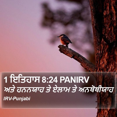1 ਇਤਿਹਾਸ 8:24 PANIRV Bible Verse Image