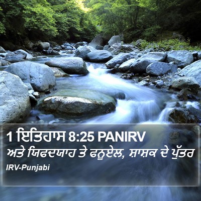1 ਇਤਿਹਾਸ 8:25 PANIRV Bible Verse Image
