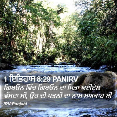 1 ਇਤਿਹਾਸ 8:29 PANIRV Bible Verse Image