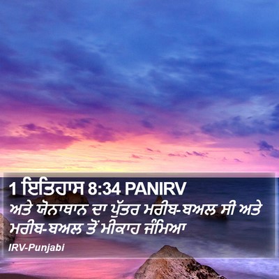 1 ਇਤਿਹਾਸ 8:34 PANIRV Bible Verse Image