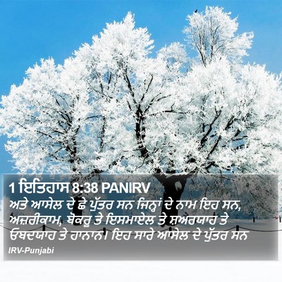 1 ਇਤਿਹਾਸ 8:38 PANIRV Bible Verse Image