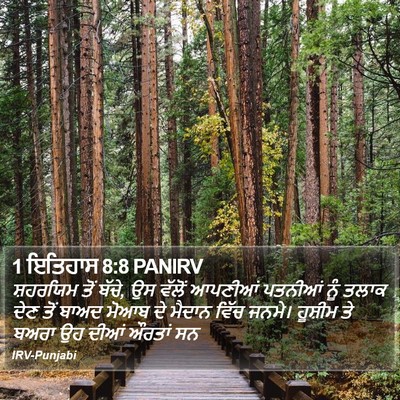 1 ਇਤਿਹਾਸ 8:8 PANIRV Bible Verse Image
