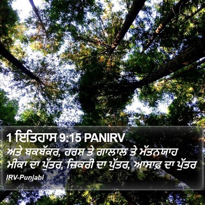 1 ਇਤਿਹਾਸ 9:15 PANIRV Bible Verse Image