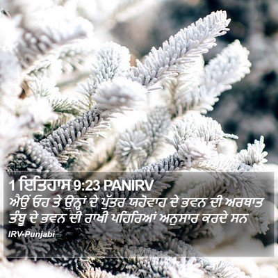 1 ਇਤਿਹਾਸ 9:23 PANIRV Bible Verse Image