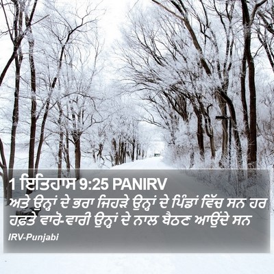 1 ਇਤਿਹਾਸ 9:25 PANIRV Bible Verse Image