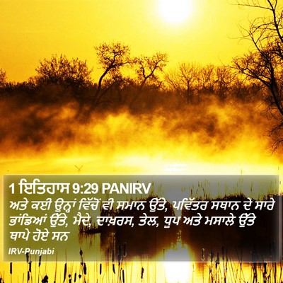 1 ਇਤਿਹਾਸ 9:29 PANIRV Bible Verse Image