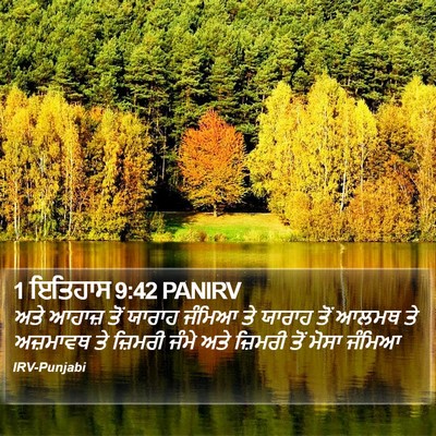 1 ਇਤਿਹਾਸ 9:42 PANIRV Bible Verse Image