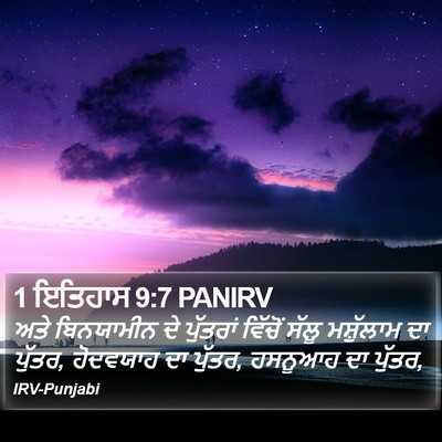 1 ਇਤਿਹਾਸ 9:7 PANIRV Bible Verse Image