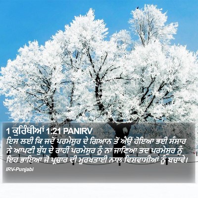 1 ਕੁਰਿੰਥੀਆਂ 1:21 PANIRV Bible Verse Image