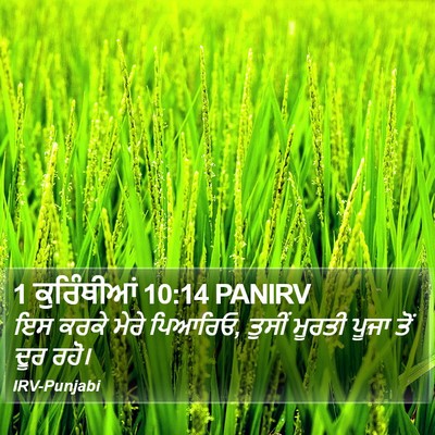 1 ਕੁਰਿੰਥੀਆਂ 10:14 PANIRV Bible Verse Image