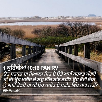 1 ਕੁਰਿੰਥੀਆਂ 10:16 PANIRV Bible Verse Image
