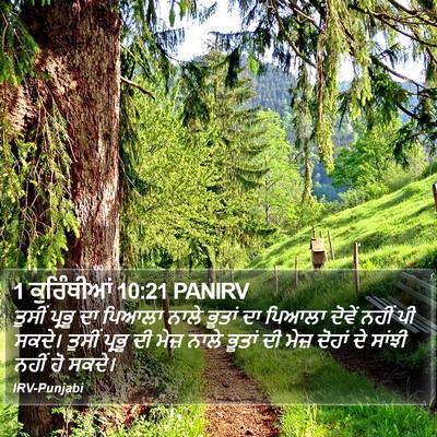 1 ਕੁਰਿੰਥੀਆਂ 10:21 PANIRV Bible Verse Image