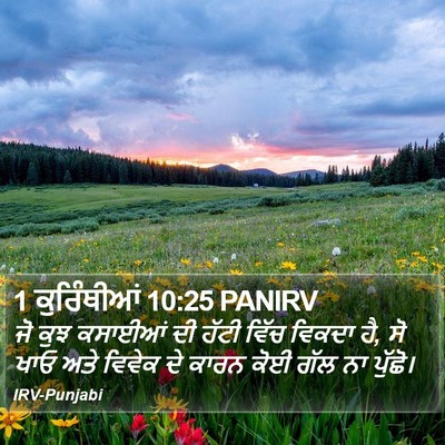1 ਕੁਰਿੰਥੀਆਂ 10:25 PANIRV Bible Verse Image
