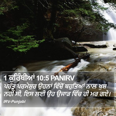 1 ਕੁਰਿੰਥੀਆਂ 10:5 PANIRV Bible Verse Image