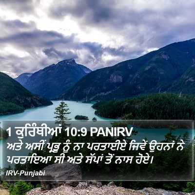 1 ਕੁਰਿੰਥੀਆਂ 10:9 PANIRV Bible Verse Image