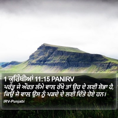 1 ਕੁਰਿੰਥੀਆਂ 11:15 PANIRV Bible Verse Image
