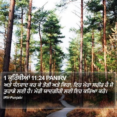 1 ਕੁਰਿੰਥੀਆਂ 11:24 PANIRV Bible Verse Image