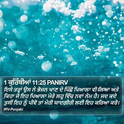 1 ਕੁਰਿੰਥੀਆਂ 11:25 PANIRV Bible Verse Image