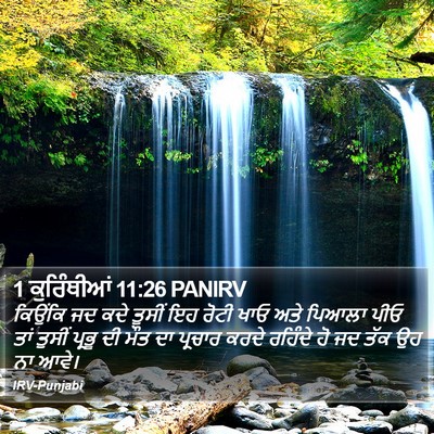 1 ਕੁਰਿੰਥੀਆਂ 11:26 PANIRV Bible Verse Image