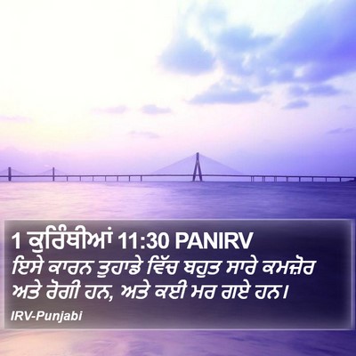 1 ਕੁਰਿੰਥੀਆਂ 11:30 PANIRV Bible Verse Image