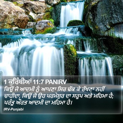 1 ਕੁਰਿੰਥੀਆਂ 11:7 PANIRV Bible Verse Image