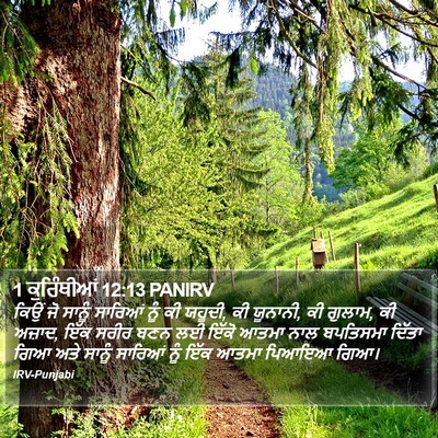 1 ਕੁਰਿੰਥੀਆਂ 12:13 PANIRV Bible Verse Image
