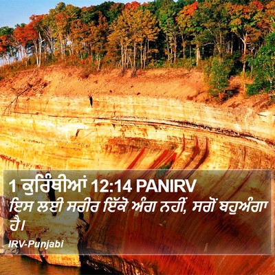 1 ਕੁਰਿੰਥੀਆਂ 12:14 PANIRV Bible Verse Image