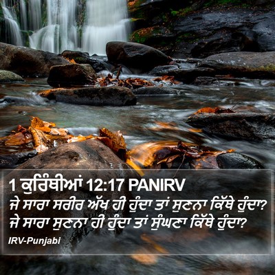1 ਕੁਰਿੰਥੀਆਂ 12:17 PANIRV Bible Verse Image