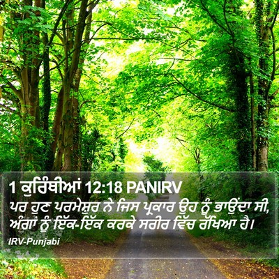 1 ਕੁਰਿੰਥੀਆਂ 12:18 PANIRV Bible Verse Image